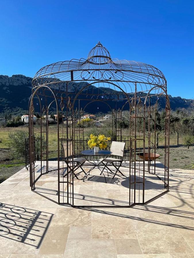 Domaine Mas Terra Bed & Breakfast Saint-Paul-de-Fenouillet Luaran gambar