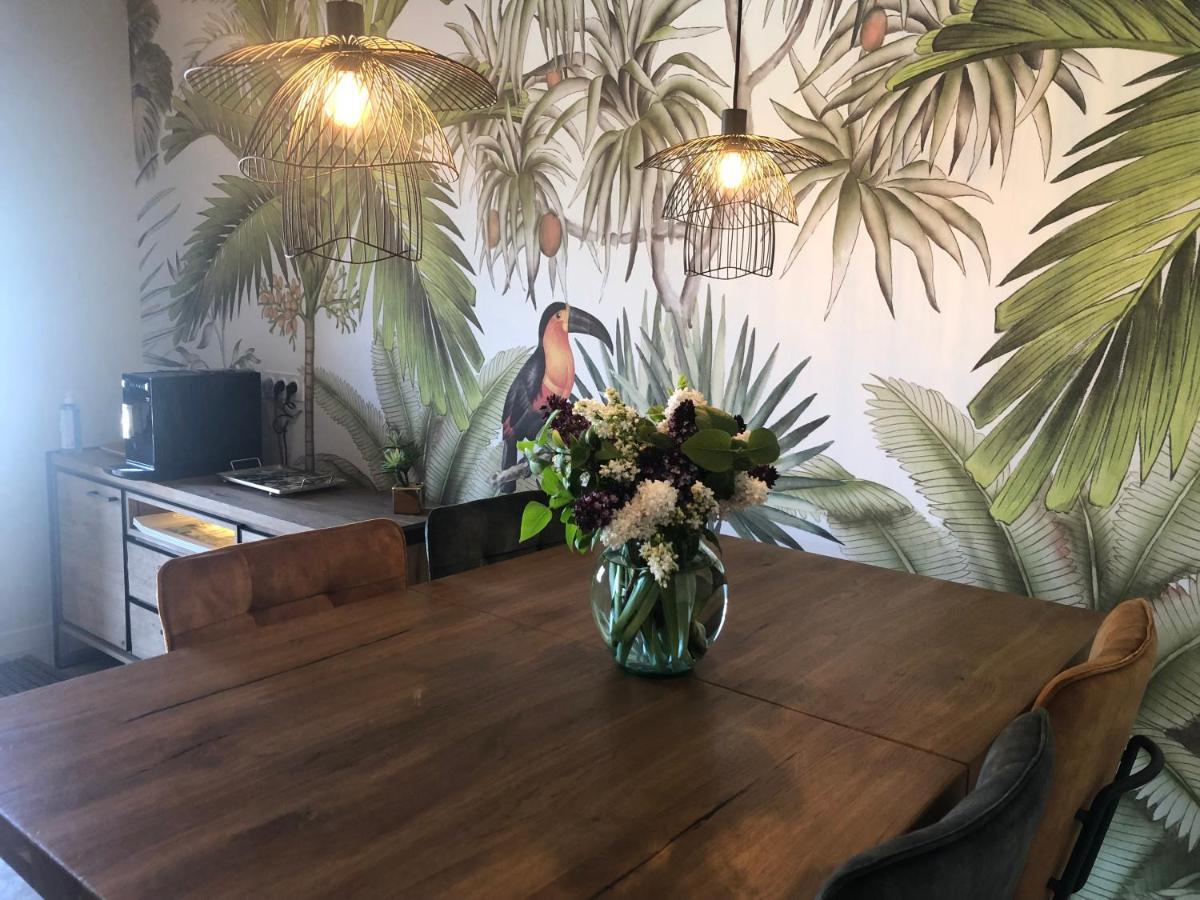 Domaine Mas Terra Bed & Breakfast Saint-Paul-de-Fenouillet Luaran gambar
