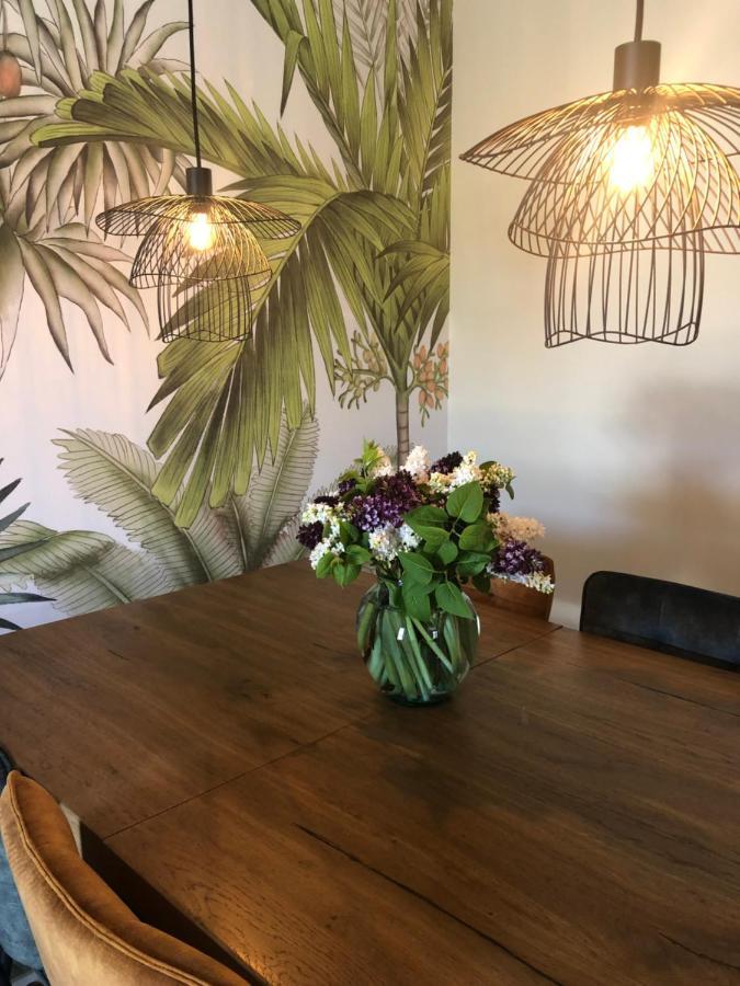 Domaine Mas Terra Bed & Breakfast Saint-Paul-de-Fenouillet Luaran gambar