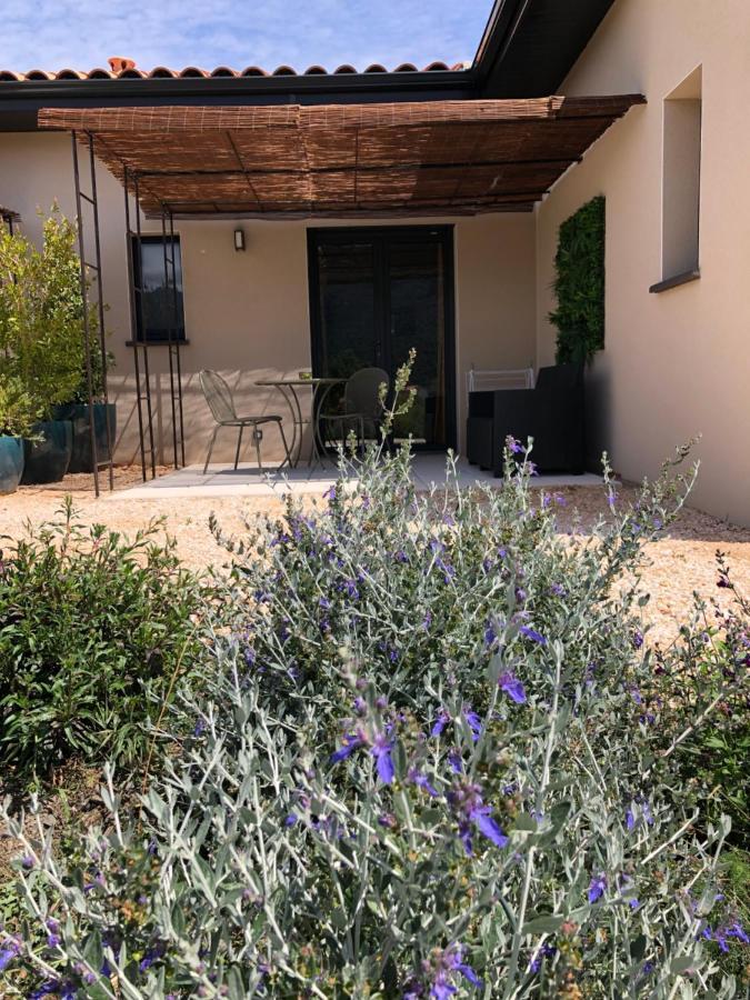 Domaine Mas Terra Bed & Breakfast Saint-Paul-de-Fenouillet Luaran gambar